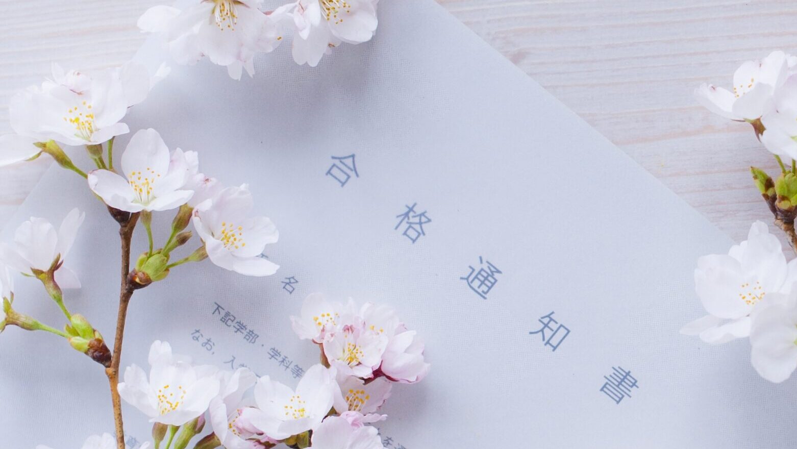 桜と合格通知